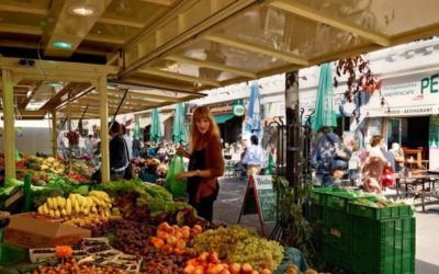 Excellent tour of Hamburg