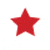 Ein Stern Icon