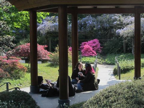 Führung Hamburg: Planten und Blomen - Japanischer Garten -  Foto: Heinz Köhler